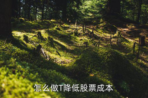 盤(pán)中差價(jià)怎么做,中線(xiàn)持股如何盤(pán)中做t