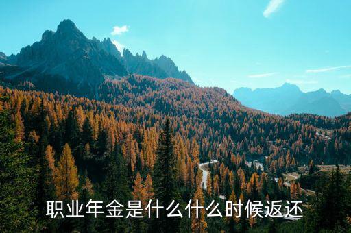 職業(yè)年金是什么什么時(shí)候返還