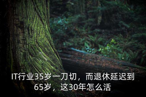 IT行業(yè)35歲一刀切，而退休延遲到65歲，這30年怎么活