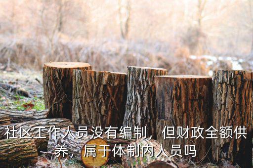 社區(qū)工作人員沒有編制，但財(cái)政全額供養(yǎng)，屬于體制內(nèi)人員嗎
