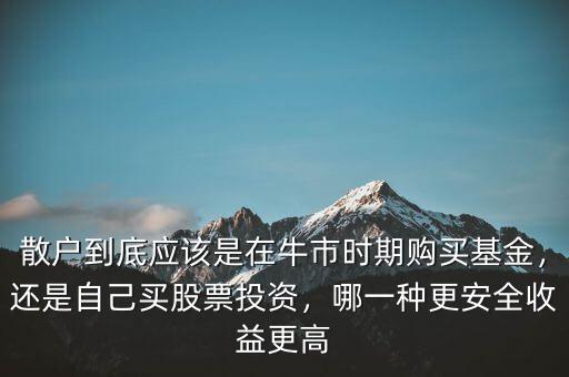 散戶到底應該是在牛市時期購買基金，還是自己買股票投資，哪一種更安全收益更高