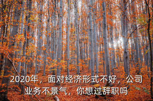 2020年，面對(duì)經(jīng)濟(jì)形式不好，公司業(yè)務(wù)不景氣，你想過辭職嗎