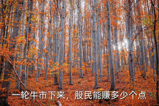 一輪牛市下來，股民能賺多少個點