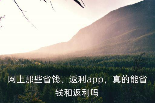 為什么返利網返現(xiàn)那么慢,返利網靠譜嗎