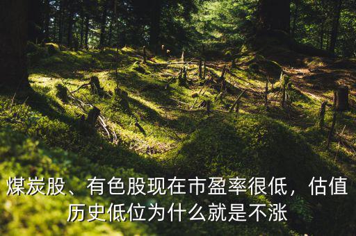 煤炭股、有色股現(xiàn)在市盈率很低，估值歷史低位為什么就是不漲