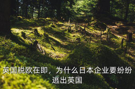 英國脫歐在即，為什么日本企業(yè)要紛紛逃出英國
