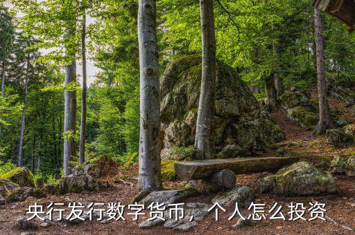 央行發(fā)行數(shù)字貨幣，個人怎么投資