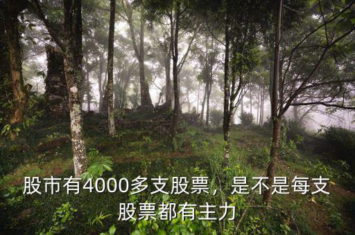 股市有4000多支股票，是不是每支股票都有主力
