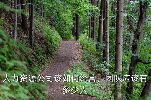 李金元的團隊有多少人,團隊?wèi)?yīng)該有多少人