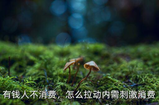 美國富人怎么消費(fèi),怎么拉動內(nèi)需刺激消費(fèi)