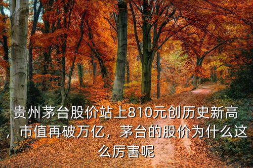 貴州茅臺股價站上810元創(chuàng)歷史新高，市值再破萬億，茅臺的股價為什么這么厲害呢