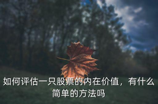 如何評估一只股票的內(nèi)在價值，有什么簡單的方法嗎