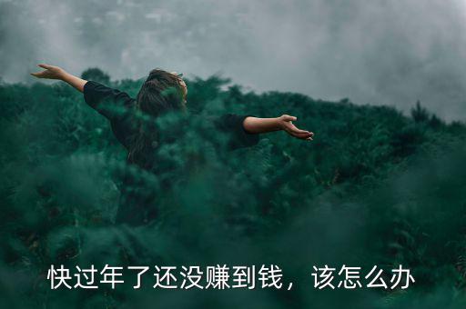 過(guò)年錢少怎么辦,快過(guò)年了還沒賺到錢