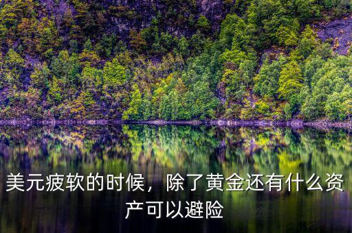 美元疲軟的時候，除了黃金還有什么資產(chǎn)可以避險