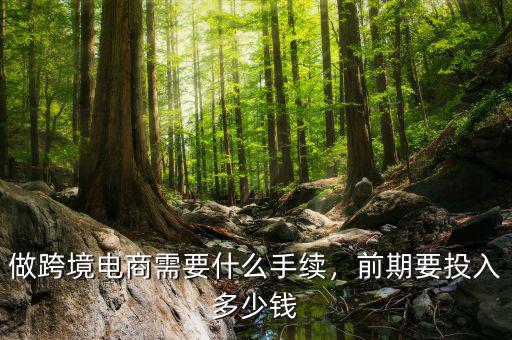 做跨境電商需要什么手續(xù)，前期要投入多少錢