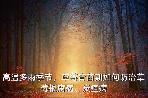 高溫多雨季節(jié)，草莓育苗期如何防治草莓根腐病、炭疽病