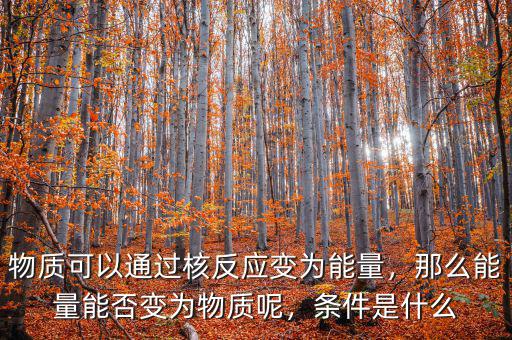 物質(zhì)可以通過核反應(yīng)變?yōu)槟芰?，那么能量能否變?yōu)槲镔|(zhì)呢，條件是什么