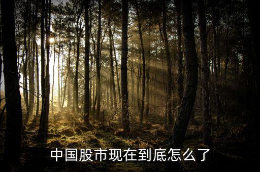 2016中國股市怎么了,中國股市現在到底怎么了