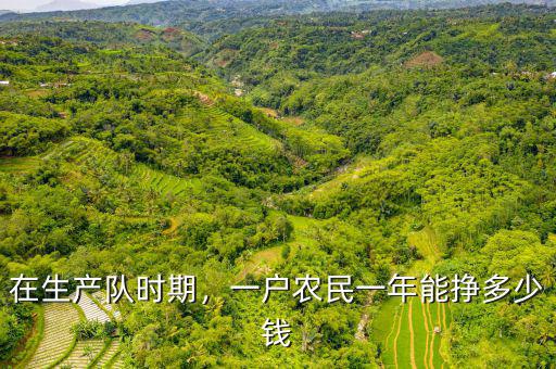 在生產(chǎn)隊(duì)時(shí)期，一戶農(nóng)民一年能掙多少錢