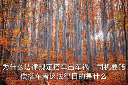 為什么法律規(guī)定搭車出車禍，司機(jī)要賠償搭車者這法律目的是什么