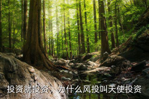 投資就投資，為什么風(fēng)投叫天使投資