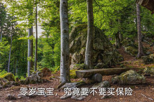 零歲寶寶，究竟要不要買(mǎi)保險(xiǎn)