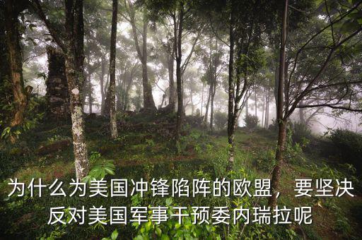 為什么為美國(guó)沖鋒陷陣的歐盟，要堅(jiān)決反對(duì)美國(guó)軍事干預(yù)委內(nèi)瑞拉呢