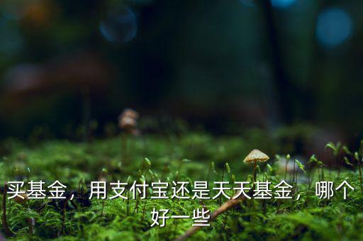 買基金，用支付寶還是天天基金，哪個好一些
