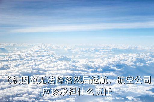 飛機(jī)因故無(wú)法降落然后返航，航空公司應(yīng)該承擔(dān)什么責(zé)任