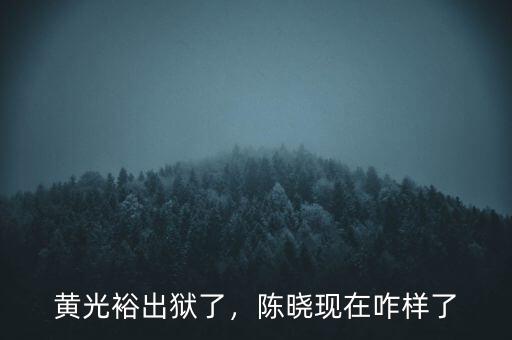 黃光裕出獄了，陳曉現(xiàn)在咋樣了