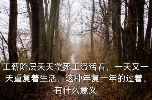 工薪階層天天拿死工資活著，一天又一天重復(fù)著生活，這種年復(fù)一年的過著，有什么意義
