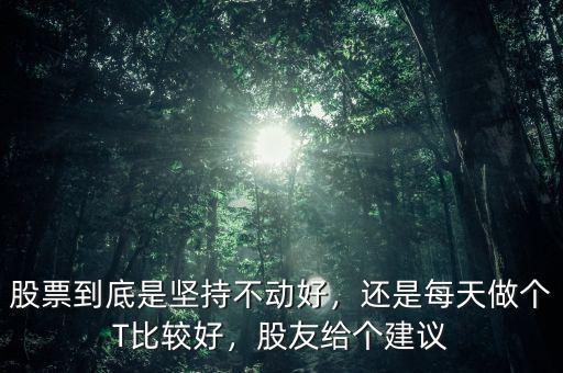 股票到底是堅持不動好，還是每天做個T比較好，股友給個建議