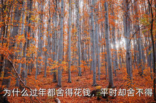 為什么過年都舍得花錢，平時卻舍不得