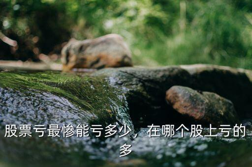 股票虧最慘能虧多少，在哪個股上虧的多