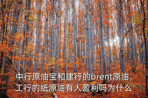 中行原油寶和建行的brent原油，工行的紙?jiān)陀腥擞麊釣槭裁? class=