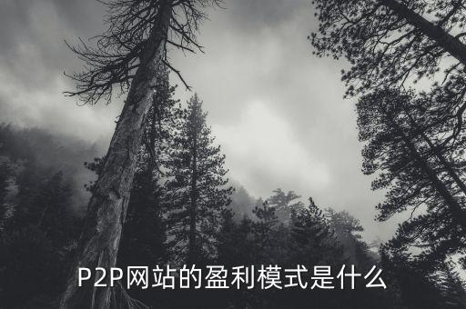 P2P網站的盈利模式是什么