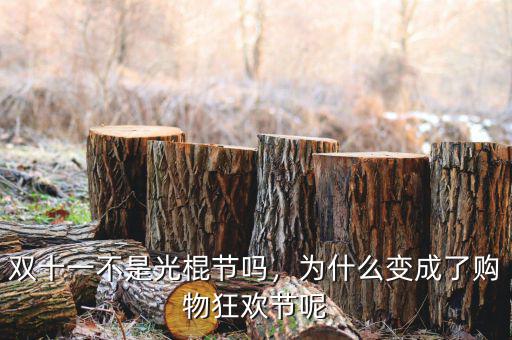 雙十一不是光棍節(jié)嗎，為什么變成了購物狂歡節(jié)呢