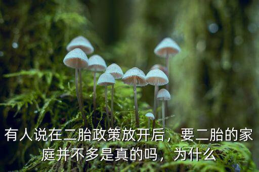 有人說在二胎政策放開后，要二胎的家庭并不多是真的嗎，為什么