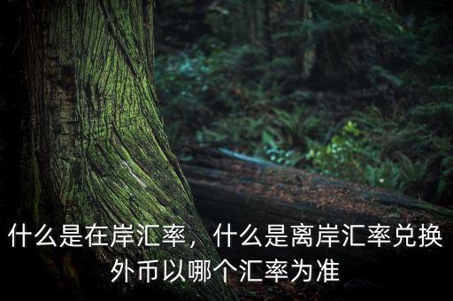 什么是在岸匯率，什么是離岸匯率兌換外幣以哪個匯率為準(zhǔn)