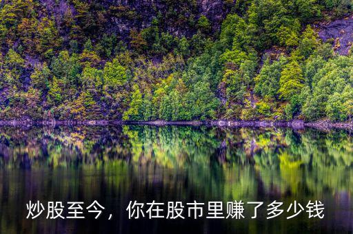 炒股至今，你在股市里賺了多少錢