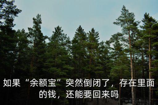 如果“余額寶”突然倒閉了，存在里面的錢，還能要回來嗎