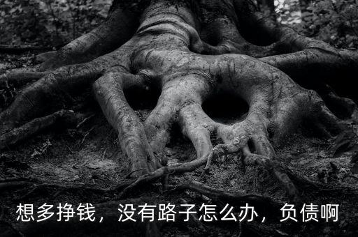 想多掙錢，沒有路子怎么辦，負(fù)債啊