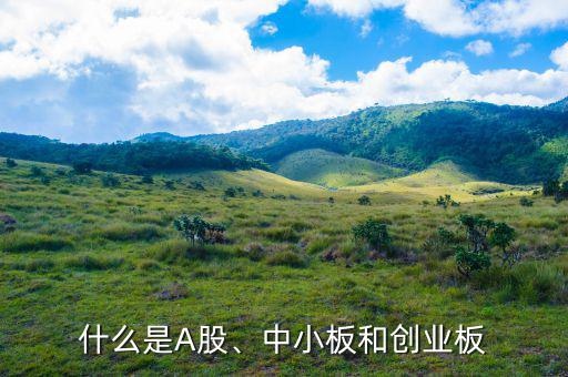 什么是A股、中小板和創(chuàng)業(yè)板