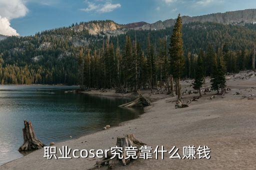 e租寶靠什么盈利,傳銷(xiāo)靠什么盈利