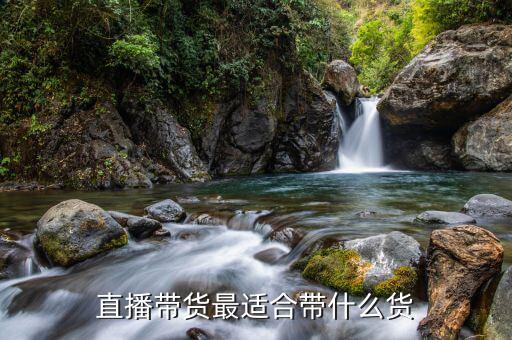 水客帶什么貨最賺錢(qián),擺攤賣點(diǎn)什么貨比較好賣