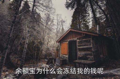 余額寶為什么會(huì)有爭議,余額寶利率下降的原因有哪些