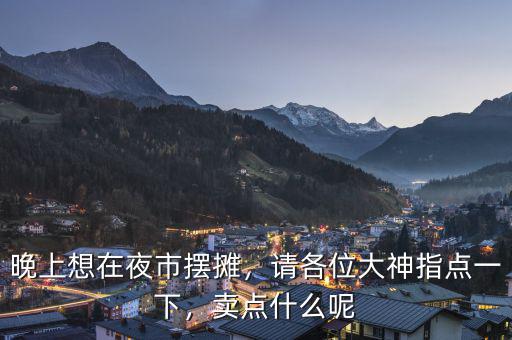 晚上想在夜市擺攤，請各位大神指點一下，賣點什么呢