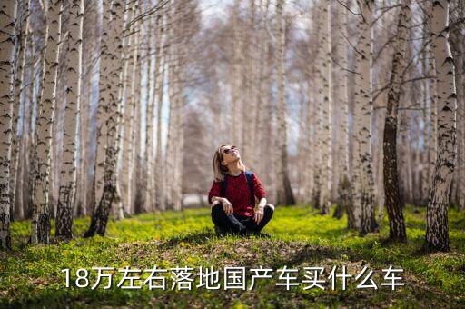 18萬(wàn)左右落地國(guó)產(chǎn)車(chē)買(mǎi)什么車(chē)
