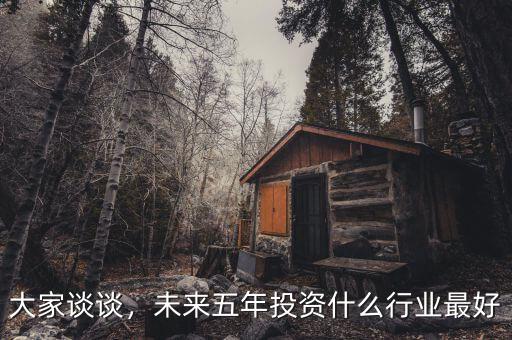 大家談?wù)劊磥砦迥晖顿Y什么行業(yè)最好