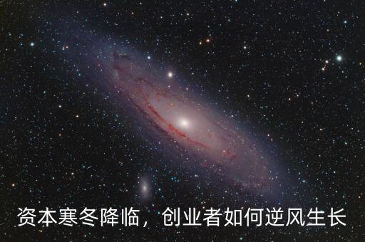 資本寒冬降臨，創(chuàng)業(yè)者如何逆風(fēng)生長